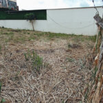 Terreno à venda em Jardim das Vitórias Régias, Valinhos, SP