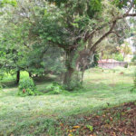 Terreno à venda em Marambaia, Vinhedo, SP