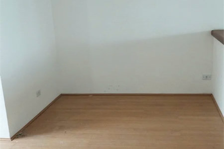 Apartamento à venda com 1 suíte em Vila Suzana, São Paulo, SP