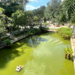 Cobertura à venda ou para alugar com 4 suítes em Jardim Morumbi, São Paulo, SP