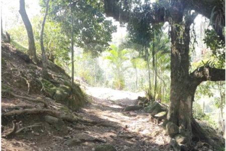 Terreno à venda em Campo Grande, Rio de Janeiro, RJ