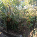 Casa à venda com 4 quartos em Vila Vilma (mailasqui), São Roque, SP