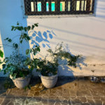 Casa à venda com 2 quartos, sendo 1 suíte,  no Centro, Vinhedo, SP