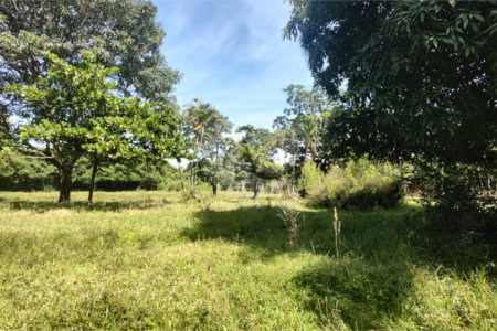 Terreno à venda em Campestre, Piracicaba, SP