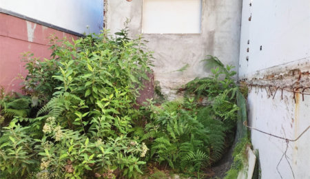 Terreno à venda em Vila Guilherme, São Paulo, SP