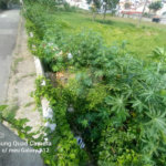 Terreno à venda em Vila Oliveira, Mogi das Cruzes, SP