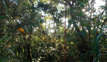 Terreno à venda em Caraguatá, Mairiporã, SP