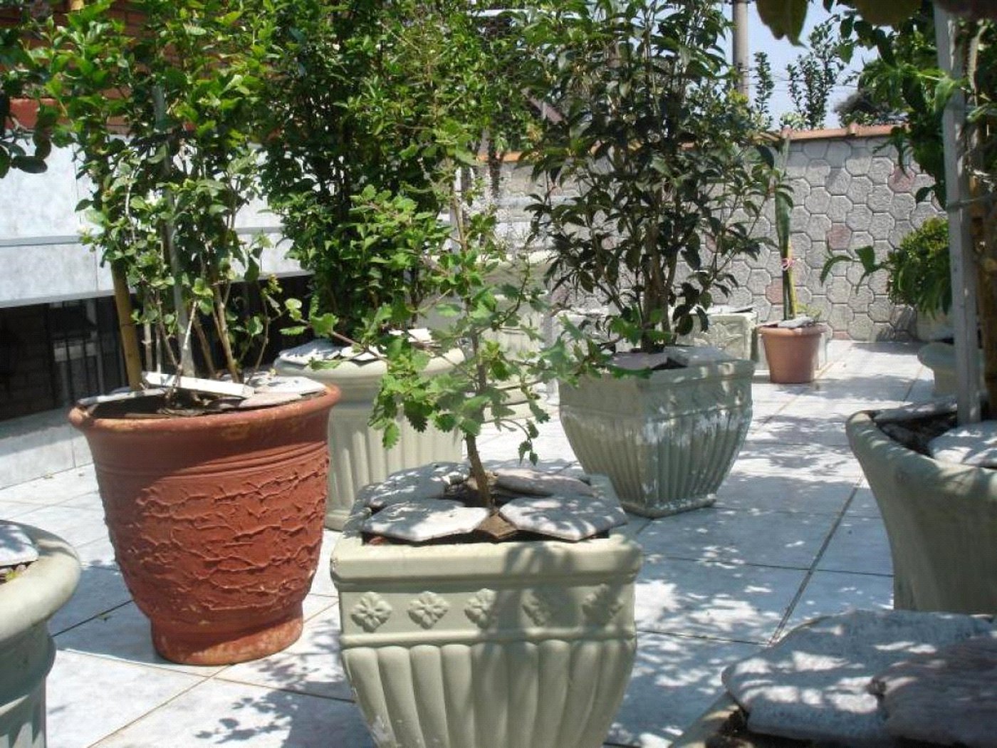Casa à venda com 3 quartos, sendo 1 suíte, em Conjunto Residencial Butantã, São Paulo, SP