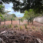 Chácara à venda com 3 quartos em Vila Sottemo, Itapetininga, SP