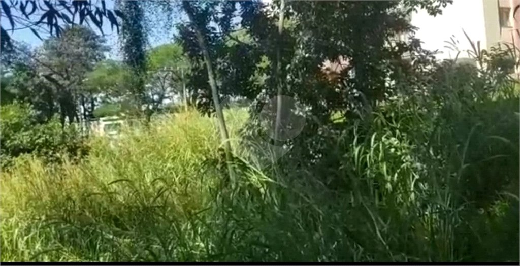Terreno à venda em Paraisópolis, São Paulo, SP