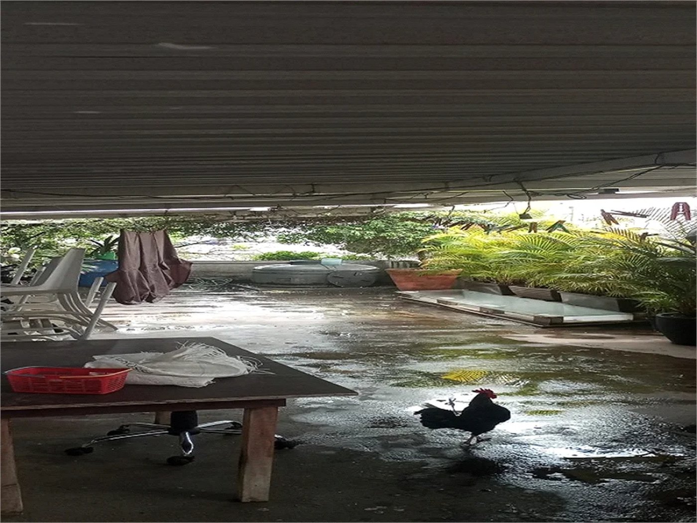Casa à venda com 3 quartos, sendo 1 suíte,  em Lapa de Baixo, São Paulo, SP