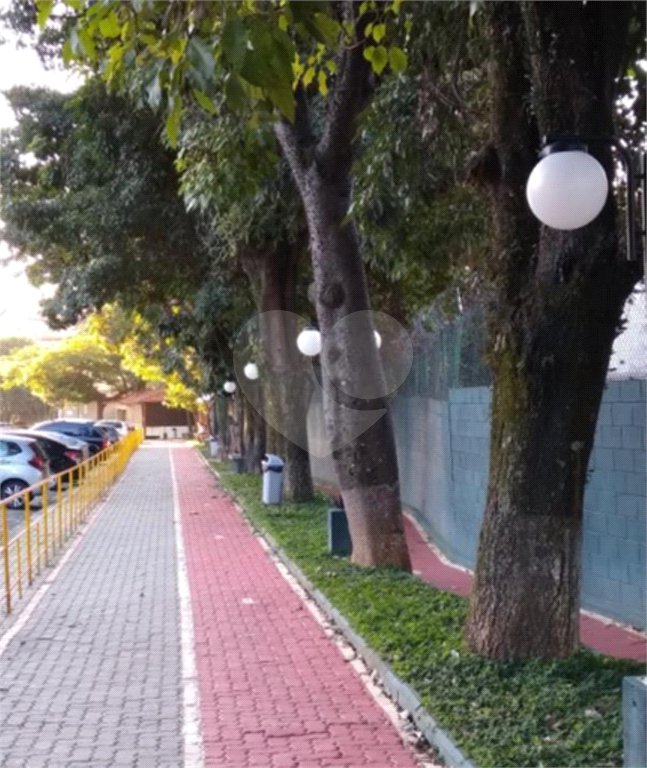 Apartamento à venda com 3 quartos em Vila Nova Cachoeirinha, São Paulo, SP