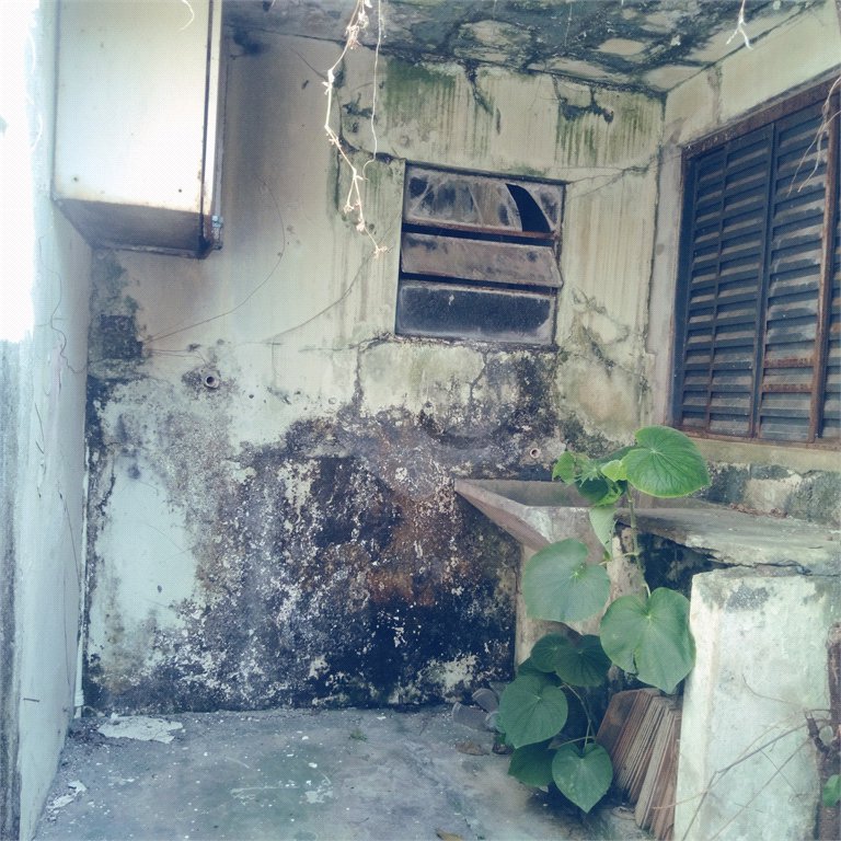 Casa Térrea à venda com 2 quartos em Vila Nova Cachoeirinha, São Paulo, SP