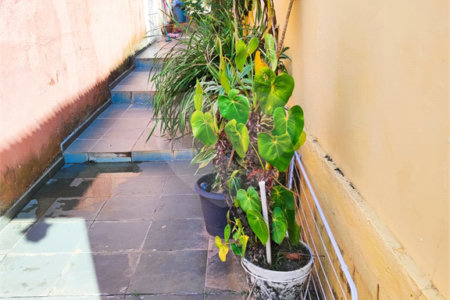Casa Térrea à venda com 2 quartos, sendo 1 suíte, em Santa Teresinha, São Paulo, SP