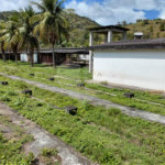 Terreno à venda com 3 suítes em Bazílio, Rio Bonito, RJ