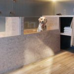 Residencial Bliss Itapeti