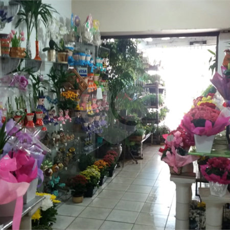 Loja à venda com 3 quartos em Vila Albertina, São Paulo, SP