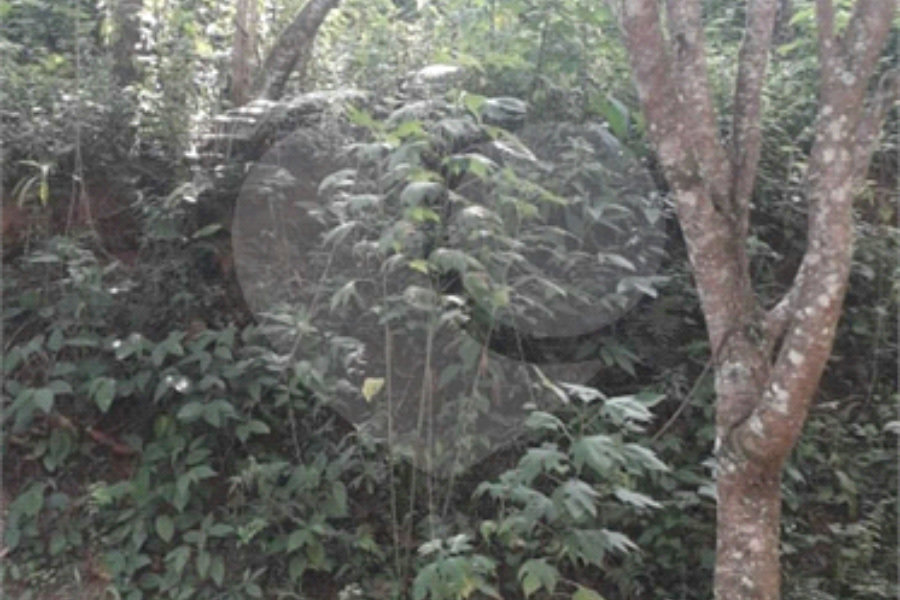 Terreno à venda no condomínio Alpes de Mairiporã, Mairiporã - SP