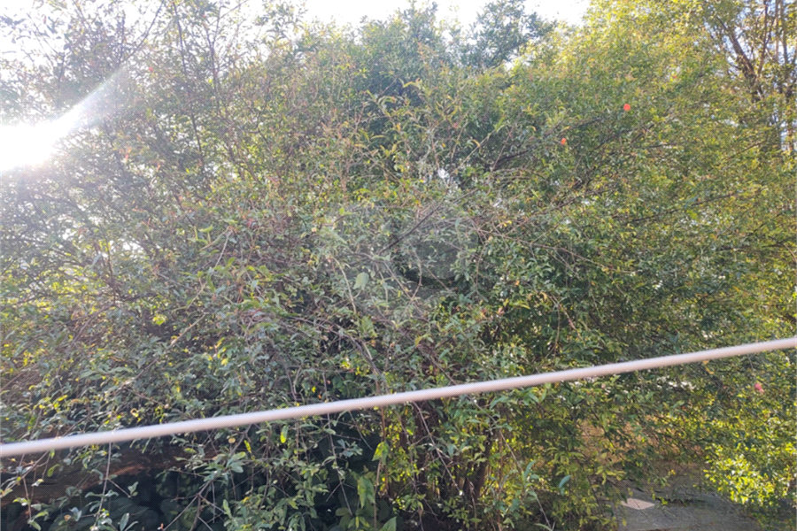 Terreno à venda em Jardim Maristela, São Paulo, SP