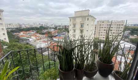 Apartamento à venda com 2 quartos, sendo 1 suíte, em Campo Belo, São Paulo, SP