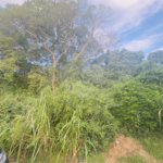 Terreno à venda em Caravelas, Armação dos Búzios, RJ