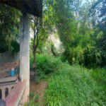 Casa Térrea à venda com 3 quartos, sendo 1 suíte, em Jardim Floresta, São Paulo, SP