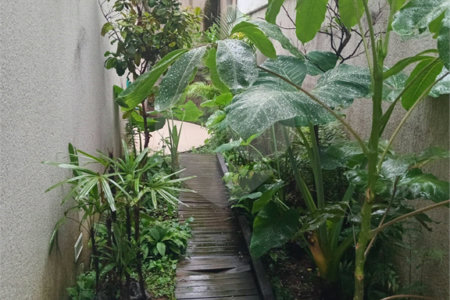 Sobrado à venda com 3 suítes em Mirandópolis, São Paulo, SP