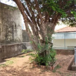 Casa Térrea à venda com 3 quartos, sendo 1 suíte, em Vila Guilherme, São Paulo, SP