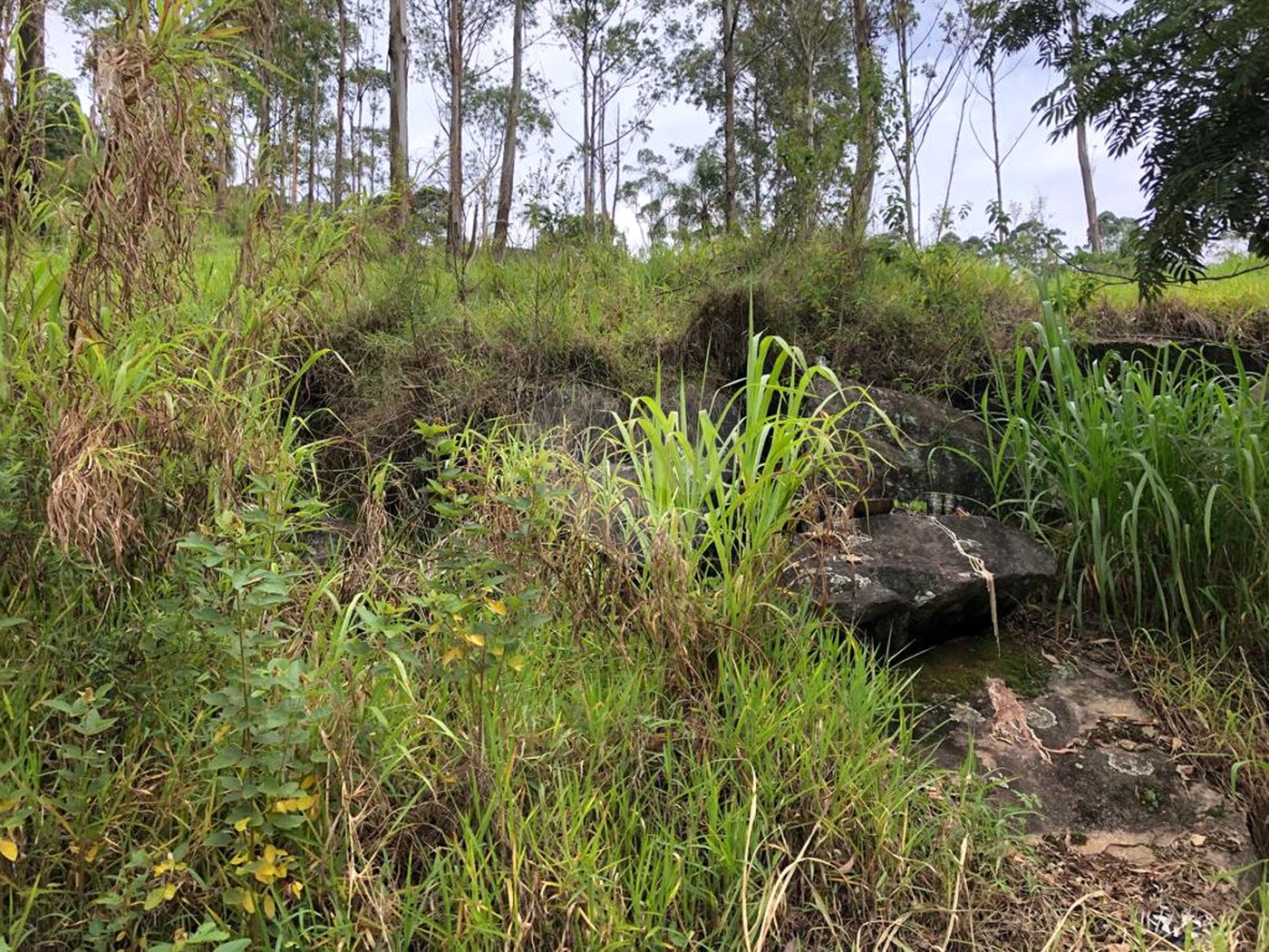 Terreno à venda no condomínio Gleba E1 E2, Mairiporã - SP