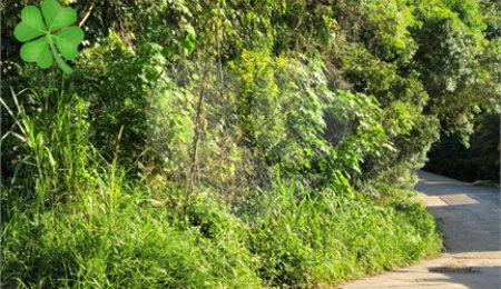 Loteamento à venda em Canjica (terra Preta), Mairiporã, SP