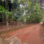 Terreno à venda em Jardim Bela Vista, Guarulhos, SP