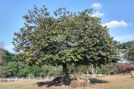 Sítio à venda com 4 quartos, sendo 2 suítes,  em Pimenta, Indaiatuba, SP