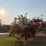Terreno à venda em Condomínio Residencial Pinheiros do Lago, Alambari, SP