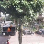 Casa à venda com 3 quartos em Grajaú, Rio de Janeiro, RJ