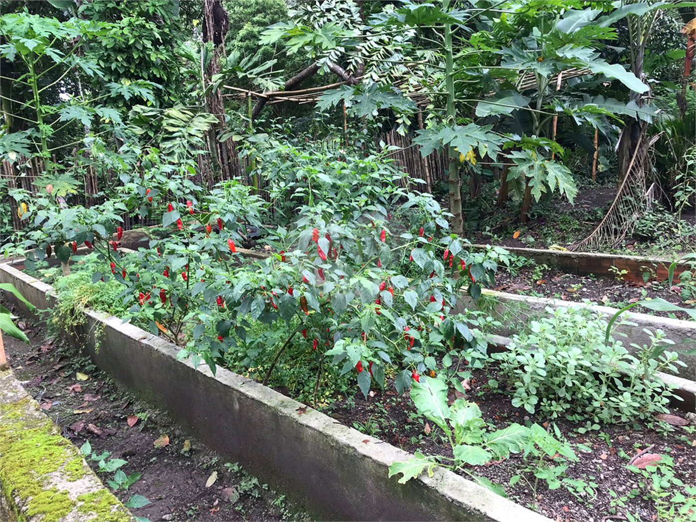 Sítio à venda com 5 quartos, sendo 2 suítes,  em Parque Recreio Dom Pedro Ii (guia de Pacobaíba), Magé, RJ