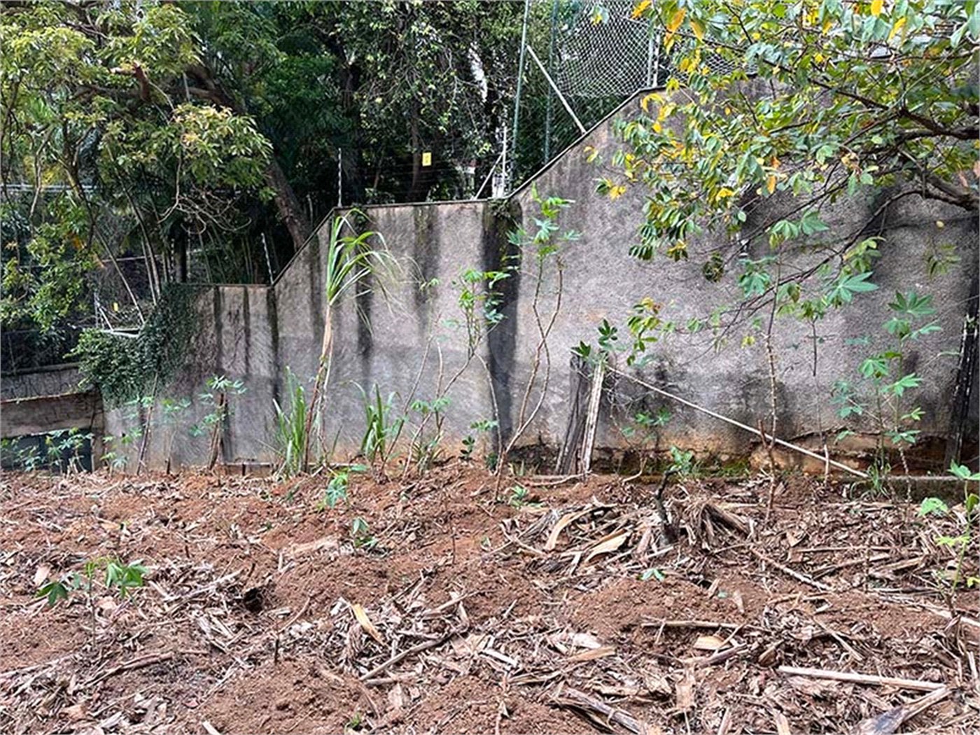 Terreno à venda em Santana, São Paulo, SP