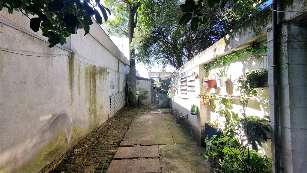Terreno à venda em Vila Gustavo, São Paulo, SP