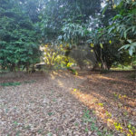 Terreno à venda em Jardim dos Estados, Ponta Porã, MS