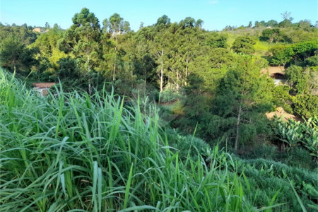 Área de Terra à venda em Três Pistas, Atibaia, SP