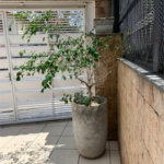 Sobrado à venda com 4 quartos, sendo 1 suíte, em Parada Inglesa, São Paulo, SP
