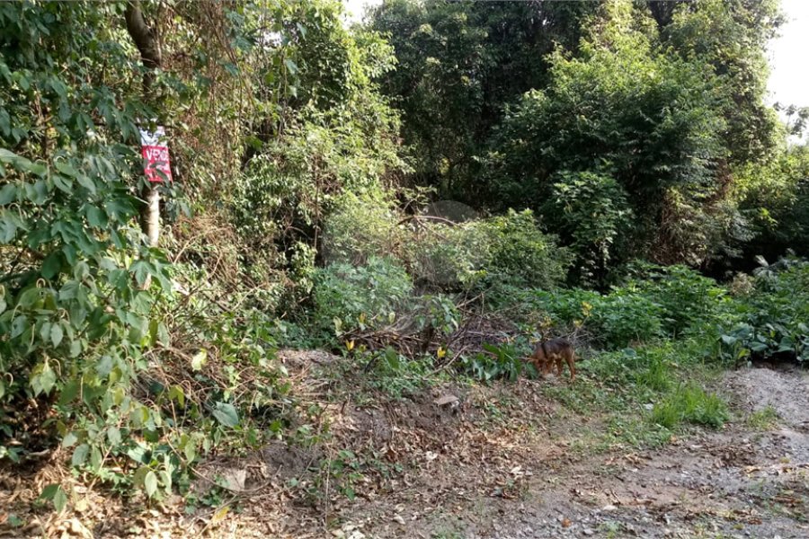 Terreno à venda em Serra da Cantareira, Mairiporã, SP