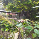 Casa Térrea à venda com 6 quartos, sendo 1 suíte, em Pirituba, São Paulo, SP