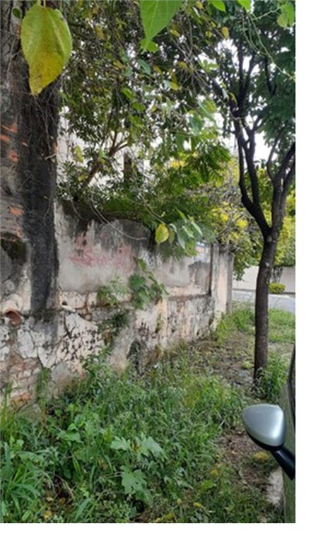 Terreno à venda em Vila Guilherme, São Paulo, SP