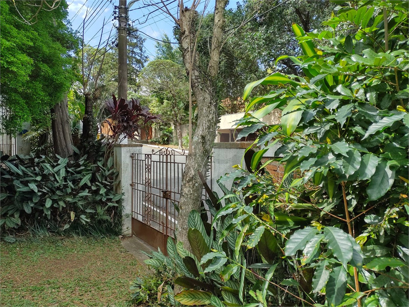 Casa Térrea à venda com 5 quartos em Brooklin, São Paulo, SP