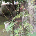 Casa com 2 dormitórios à venda, 87 m² por R$ 690.000,00 - Ponta da Praia - Santos/SP