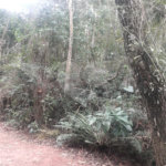 Terreno à venda em Suasalito, Mairiporã, SP