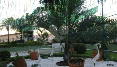 Apartamento à venda com 3 quartos, sendo 1 suíte,  em Vila Guilherme, São Paulo, SP