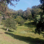 Sítio com 10 dormitórios à venda, 120000 m² por R$ 1.650.000,00 - Bairro Carmo Messias - Ibiúna/SP