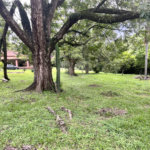 Terreno à venda em Loteamento Terras de São Pedro e São Paulo, Salto, SP