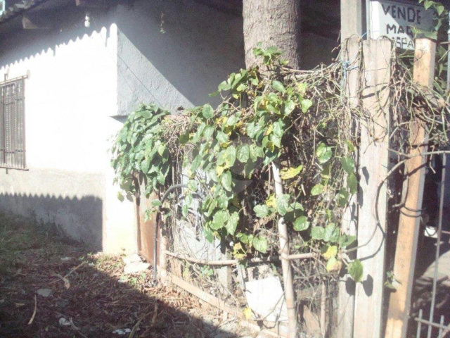Terreno à venda em Vila Nova Mazzei, São Paulo, SP
